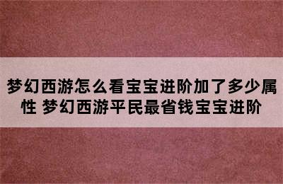 梦幻西游怎么看宝宝进阶加了多少属性 梦幻西游平民最省钱宝宝进阶